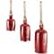 Red Metal Cow Bells Tibetan Inspired Decorative with Jute Hanging Rope Set
